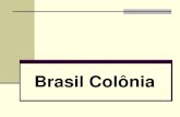 Brasil Colônia - escolasaojorge.com.brescolasaojorge.com.br/site/wp-content/uploads/2014/06/127663536… · Brasil Colônia . O Brasil pré-colonial ... interior, no sul da colônia
