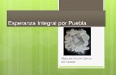 Esperanza Integral por Puebla - cmas.siu.buap.mxcmas.siu.buap.mx/portal_pprd/work/sites/pdi/resources/LocalConten… · Antecedentes Rezagos científicos, tecnológicos, económicos,