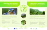Conservação do Fura-bardos Conservation of Macaronesian e ...life-furabardos.spea.pt/fotos/editor2/combinepdf.pdf · Conservação do Fura-bardos e da Laurissilva 2013-2017 Conservation
