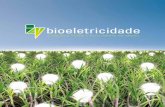 bioeletricidade - CETESB...O setor sucroenergético e o governo do estado de São Paulo assinaram o Protocolo Agroambiental, que promove a antecipação dos prazos legais para o fim