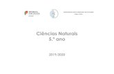 Ciências Naturais 5.º anoeb23carlosteixeira.net/wp-content/uploads/2019/11/planificacao_cn_… · interação com os subsistemas terrestres, com recurso a apresentações eletrónicas