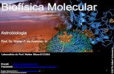 Biofísica MolecularUsa conhecimentos da física, química e biologia, com forte embasamento molecular para o estudo do surgimento da vida. Visão artística da presença de fulereno