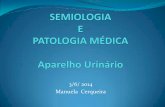 3/6/ 2014 Manuela Cerqueira · Semiologia do aparelho urinário Definição de alguns termos: 3. Azotémia Refere-se ao aumento da concentração no sangue de ureia, creatinina e