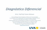 Diagnóstico Diferencial...Entender a lógica que levou à construção dos diagnósticos diferenciais em Fonoaudiologia AULA 1.1 –Conteúdo: Conexão da áreas da Fonoaudiologia