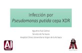 Infección por Pseudomonas putida cepa XDR · Total de cepas de P. aeruginosa en aislamientos clínicos de origen hospitalario 2014 2015 2016 N % N % N % Cepas MDR 35 6,2 38 6,7 27