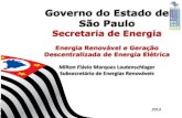 Governo do Estado de São Paulo - AEAMESP · Governo do Estado de São Paulo Secretaria de Energia ... Atendimento à Política Estadual de Mudanças Climáticas ... mflavio@sp.gov.br