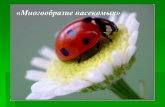 «Многообразие насекомых»гимназия18.рф/wp-content/uploads/Mnogoobrazie-nasekomykh.pdf · Тема урока «Многообразие насекомых»