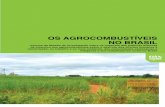 Os AgrOcOmbustíveis nO brAsil · a forma como afeta o direito à alimentação, à terra e ao meio ambiente. Além disto também averiguou as condições de trabalho dos trabalhadores