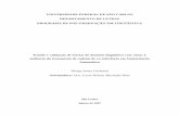 UNIVERSIDADE FEDERAL DE SÃO CARLOS DEPARTAMENTO DE …ppgl/defesas/009.pdf · lingüísticas com vistas à melhoria dos sistemas de Sumarização Automática, ramo da Lingüística