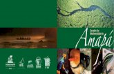 Corredor de Amapá - conservation.org · Apesar de toda esta importância, as florestas tropicais continuam sendo destruídas de forma alarmante. Estudos mostram que, entre 2002 e