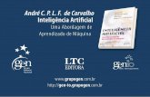 André C. P. L. F. de Carvalho Inteligência Artificialwainer/cursos/1s2013/ml/slides2.pdf · N I André C. P. L. F. de Carvalho Inteligência Artificial Uma Abordagem de Aprendizado