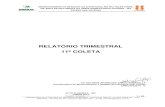 RELATÓRIO TRIMESTRAL 11ª COLETA...NA ÁREA DE INFLUÊNCIA DA USINA HIDRELÉTRICA COLÍDER – MT PEIXES UHE COLÍDER Relatório Trimestral - 11 1 / 40 LABORATÓRIO DE ICTIOLOGIA