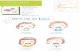 Dentição de Leite - Alfarroba...Coleção: Infantil PVP: 12,50€ ISBN: 978‑989‑8888‑48‑8 Dentição de Leite 6-10 meses incisivo central inferior 8-12 meses incisivo central