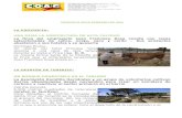 FICHA DE AFILIACIÓNcoagcanarias.com/wp-content/uploads/2016/02/Noticias-28-02-2016.… · la agricultura queda relegada a un segundo plano. La Asociación Domitila Hernández pone