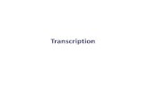 Transcription - ULisboabmg.fc.ul.pt › Disciplinas › GBM › aulas › 9TranscriptionI.pdf · 2019-02-20 · transcription Incoming ribonucleoside triphosphate The energy stored