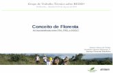 Conceito de Florestaredd.mma.gov.br/images/gttredd/reuniao9/jobertofreitas... · 2018-08-27 · Definições da FAO para cálculos de extensão de florestas no mundo (>200 países)