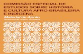 COMISSÃO ESPECIAL DE ESTUDOS SOBRE HISTÓRIA E CULTURA AFRO ... › hicabi › files › 2010 › 12 › ... · de História e Cultura Afro-Brasileira e Africana nos cur-rículos