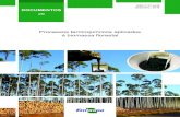 Processos termoquímicos aplicados à biomassa florestalainfo.cnptia.embrapa.br/digital/bitstream/item/189256/1/DOC-29-CN… · da Embrapa Agroenergia em processos termoquímicos