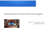 Introdução do Processamento de Imagenssmusse/Simulacao/PDFs/aula_01_Introduc… · Fronteiras do Processamento de Imagens Baixo nível: – Operações primitivas (redução de