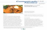 Comunicado156 Tأ©cnico - Embrapa Defesa Agropecuأ،ria da Bahia (ADAB), por meio do Programa Fitossanitأ،rio