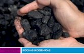 Escola Portuguesa do Lubango ROCHAS BIOGÉNICAS Hélder ... · Jazigos petrolíferos 18 Rocha – mãe : rocha onde ocorre a formação dos hidrocarbonetos (processo muito lento).