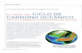 CICLO DE CARBONO OCEÁ nico.pdf · PDF file clo del carbono global y su repercusión en el clima. Sin embargo, en los últimos años aumentan los esfuerzos para ex-plorar el papel