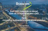 Brasil 2020 | Aceleração ou inércia? Seja Painel A ... · São Paulo, mês de 2017 Sergio Paulo Gallindo Presidente-Executivo São Paulo, 25 ... Lei de Proteção de Dados Pessoais