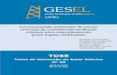 TDSE - Federal University of Rio de Janeiro 89.pdf · 3 Licenciamento Ambiental de Novos Sistemas de Transmissão no Brasil: critérios para enquadramento pelos órgãos ambientais