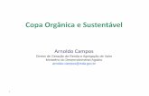 Copa Orgânica e Sustentávelplanetaorganico.com.br/arquivos/CopaOrganicae... · 1 Copa Orgânica e Sustentável Arnoldo Campos Diretor de Geração de Renda e Agregação de Valor