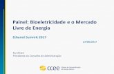 Painel: Bioeletricidade e o Mercado Livre de EnergiaMCSD e Energia de Reserva (2016) 6.381 contratos crescimento de 13% em 2017 34.534 contabilizados R$ 10,8 bilhões liquidações