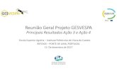 Reunião Geral Projeto GESVESPA - Projects - INIAV, I.P. › gesvespa › wp-content › uploads › ... · 2018-11-19 · Tem desenvolvido algum instrumento (folheto, brochura, vídeo