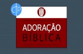 Aula 01. arranjo pactual - IPB Rio Preto · 2017-01-10 · Aula 2. A adoração antes da queda 10/01 a2 Último prazo para matrícula. Aula 3. A queda e os adoradores verdadeiros