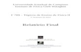 Relatório Final - Portal IFGWlunazzi/F530_F590_F690... · Introdução O presente relatório trata dos trabalhos realizados em F709 – Tópicos de Ensino de Física II, ministrado