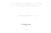 FLORIANÓPOLIS › files › 2010 › 12 › SAIDY-KAROLIN... · 2010-12-10 · Florianópolis, 2002. 92 f. Dissertação (Mestrado em Psicologia) – Programa de Pós-Graduação