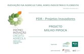 PDR - Projetos Inovadores PROJETO MILHO PIPOCA€¦ · Não existe produção de milho pipoca em Portugal O milho pipoca consumido em Portugal é maioritariamente adquirido no mercado