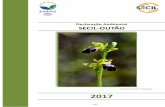Ophrys fusca fusca (Orquídea) 2017 · mangas ao longo das linhas de transporte do cimento. O consumo de materiais de embalagem depende do mercado, dos meios de transporte disponíveis