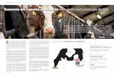 ARTIGO Economia em ingestão de alimento não usada para ... · ARTIGO SELEÇÃO PARA EFICIÊNCIA ALIMENTAR Economia em ingestão de alimento não usada para produção de leite Graças