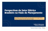 Federal University of Rio de Janeiro - Perspectivas …...Empresa de Pesquisa Energética Ministério de Minas e Energia EPE • Criada em 2004, a EPE tem por finalidade subsidiar