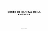 Marcelo A. Delfinomarcelodelfino.net › files › Cost_of_Capital.pdf · El costo de capital correspondiente a las acciones ... se pueden pronosticar sus niveles esperados, algo