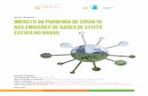 NOTA TÉCNICA IMPACTO DA PANDEMIA DE COVID-19 NAS … · nota tÉcnica impacto da pandemia de covid-19 nas emissÕes de gases de efeito estufa no brasil equipe tÉcnica coordenação