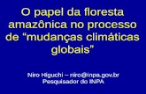 O papel da floresta amazônica no processo de ―mudanças ... · The team reports in a paper accepted for publication in Geophysical Research Letters that the storm knocked down