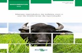 Manejo reprodutivo de búfalos com o uso de biotécnicas da ...ainfo.cnptia.embrapa.br/digital/bitstream/item/... · A produção brasileira de carne e leite está aumentando nos