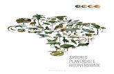 Árvores plantadas e biodiversidadeiba.org › images › shared › Biblioteca › Infografico_Biodiversi...biodiversidade eM núMeros A percepção da sociedade e das empresas sobre