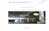 Execução da obra do Novo Terminal Rodoviário de Brasília · 2017-08-04 · Contratos envolvendo as empresas citadas na Operação Caixa de Pandora (Inquérito nº 650/DF-STJ),