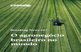 #27 O agronegócio brasileiro no mundomidias.cebri.org/arquivo/CEBRIBreakingNews27.pdf · Em 4 de fevereiro de 2019, o Conselheiro Internacional ... Balança Comercial Global do Agronegócio