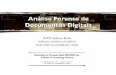 An lise Forense de Documentos Digitais › ~rocha › teaching › 2010s2 › ... · Autenticação de Imagens ‣[Avcibas et al. 2006] apresentam uma técnica baseada em Aprendizado