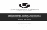 Universidade Federal de Uberlândia - UFU · 2016-06-23 · Recuperação de imagens por conteúdo: uma abordagem multidimen-sional de modelagem de similaridade e realimentação
