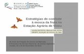 Estratégias de combate à mosca da fruta na Estação Agrária de … › base › 40_anos_eab › documentos › ... · 2020-06-03 · Estratégias de combate à mosca da fruta