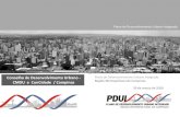 Plano de Desenvolvimento Urbano Integrado€¦ · Plano de Desenvolvimento Urbano Integrado Região Metropolitana de Campinas 1. Estatuto da Metrópole e o PDUI-RMC Funções públicas