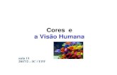Cores e a Visão Humana - UFF › ~aconci › CG-Aula11-2017.pdf · e Cães e gatos podem enxergar diferentes tonalidades. No arco-íris (vermelho, laranja, amarelo, verde, azul,